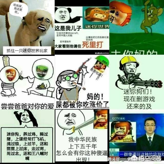 迷你玩家骂mc行为,可以用文言文来反驳,语文学的好的可以尝试