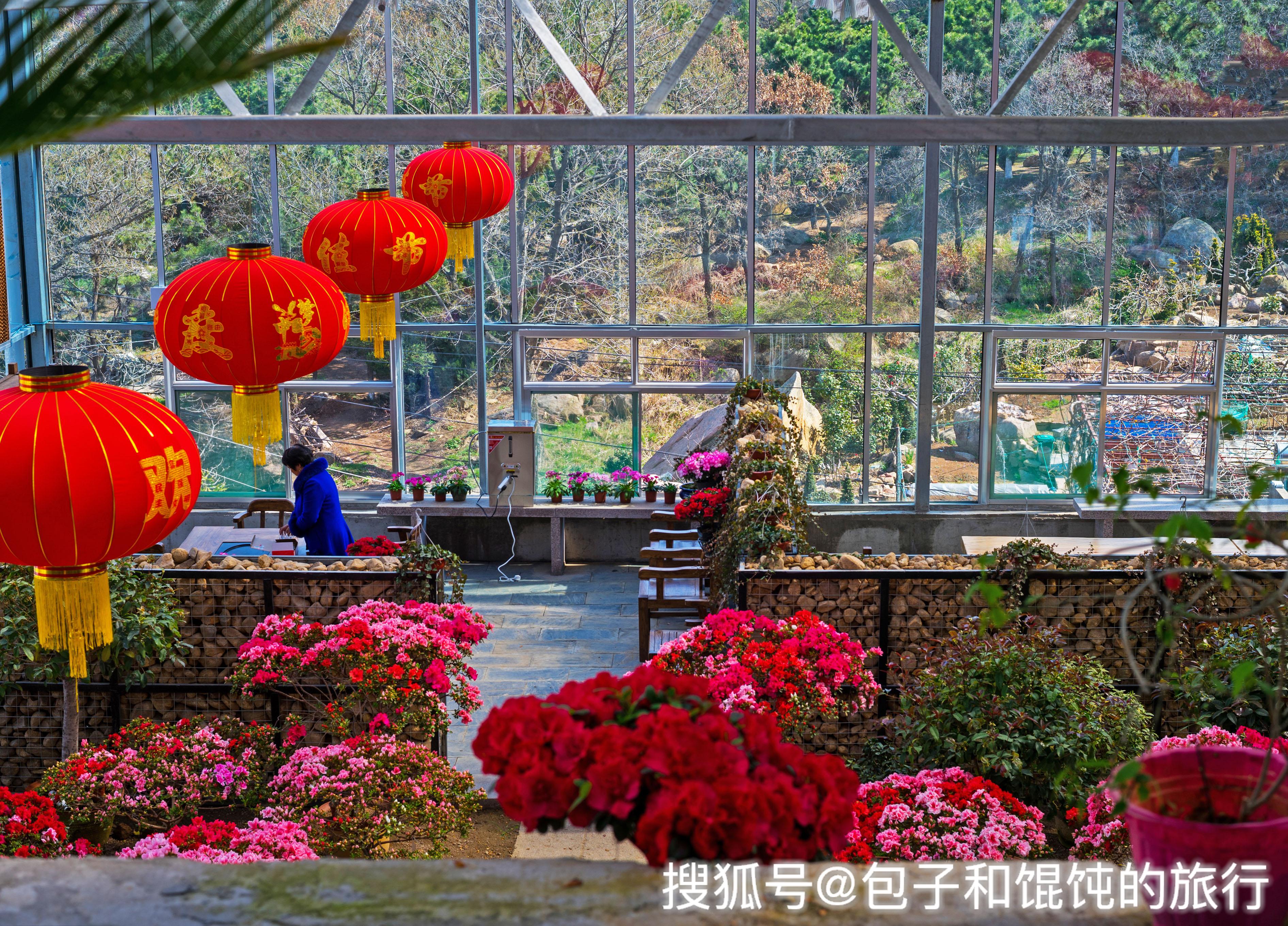 被称鬼城的山东威海,海边竟藏着这么美的一个花村