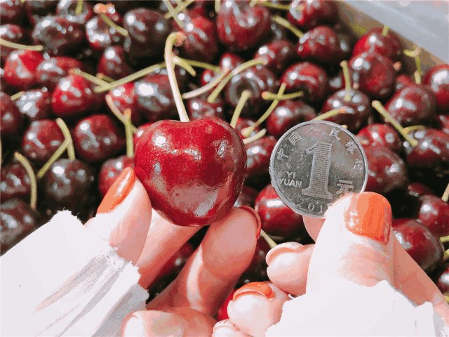 还有全场8折优惠!斗门吃货有口福