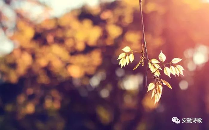 如何让自己更加从容 a94e570a4e184348ac495f4ae448d283.jpeg