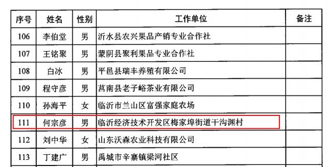 梅埠街道人口_河东梅埠街道图片(3)