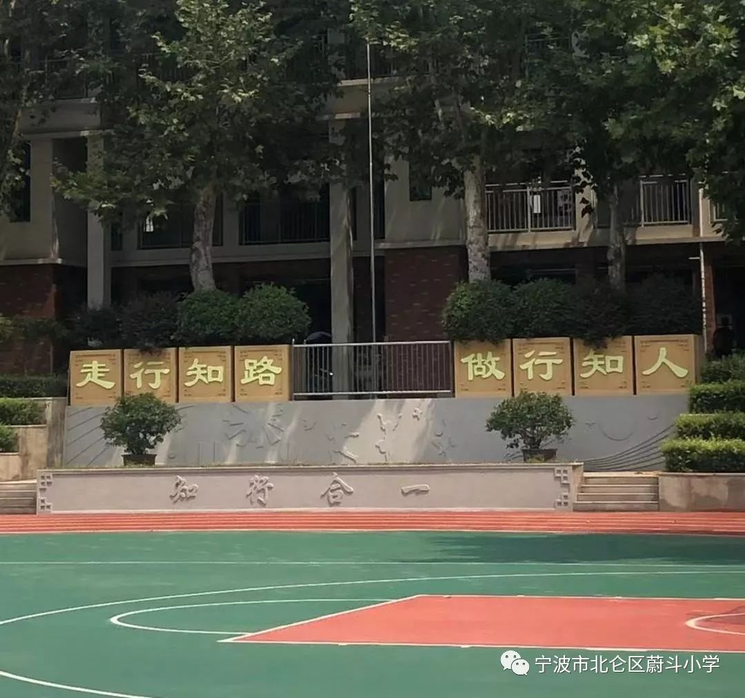 在听完南京市晓庄学院附属小学鲁照斌校长的讲座之后,蔚斗小学与学达