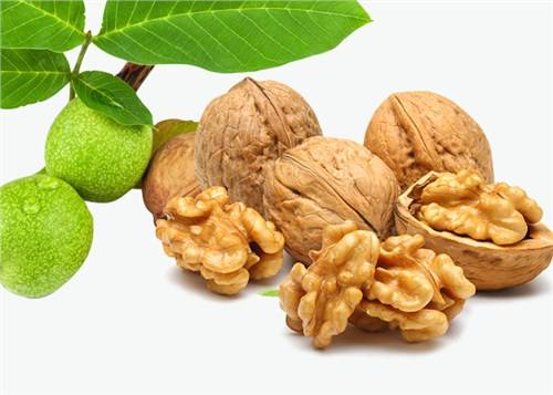 坚果类食物含较多的营养 ad53dcdd71a54d69b87b93fe9faeccf4.jpeg