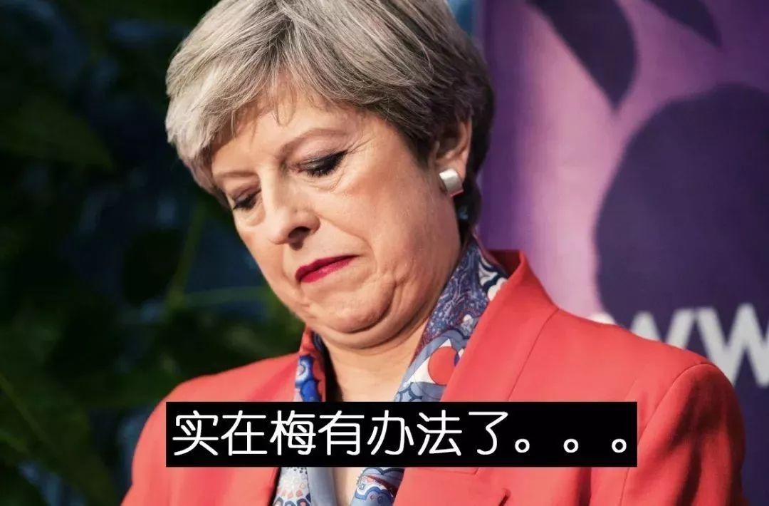 英国史上第二位女首相,中国人习惯叫她"梅姨"的特蕾莎·梅(teresa