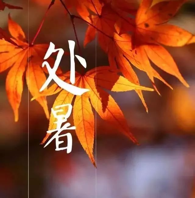 处暑节气问候微信祝福语送给您!