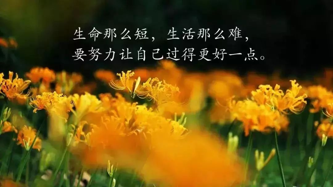 想着你睡不着简谱_想着你睡不着的图片(2)