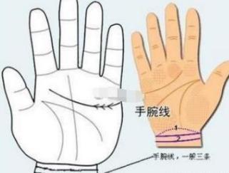手腕线的第一条上出现花星,就显示此人财运不同凡响,有可能靠得横财而