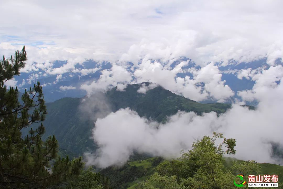 听贡山丨牧场情怀