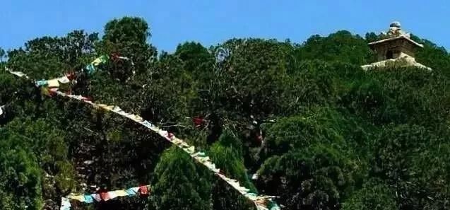 崇家人口_人口普查