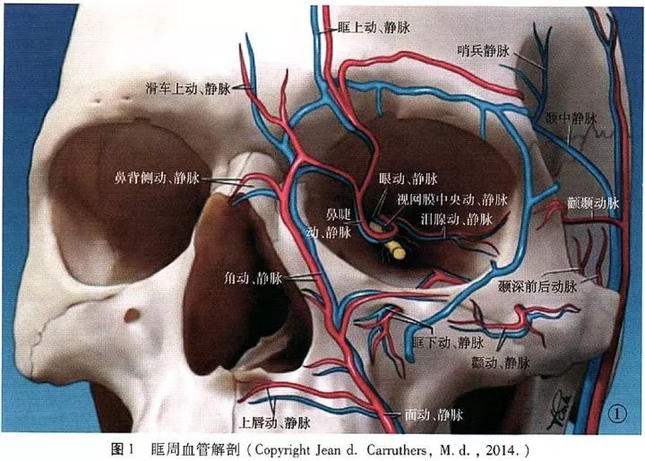 怎么准确的判断血管在哪 d733e88a04c24cd687793d31e782704b.jpeg