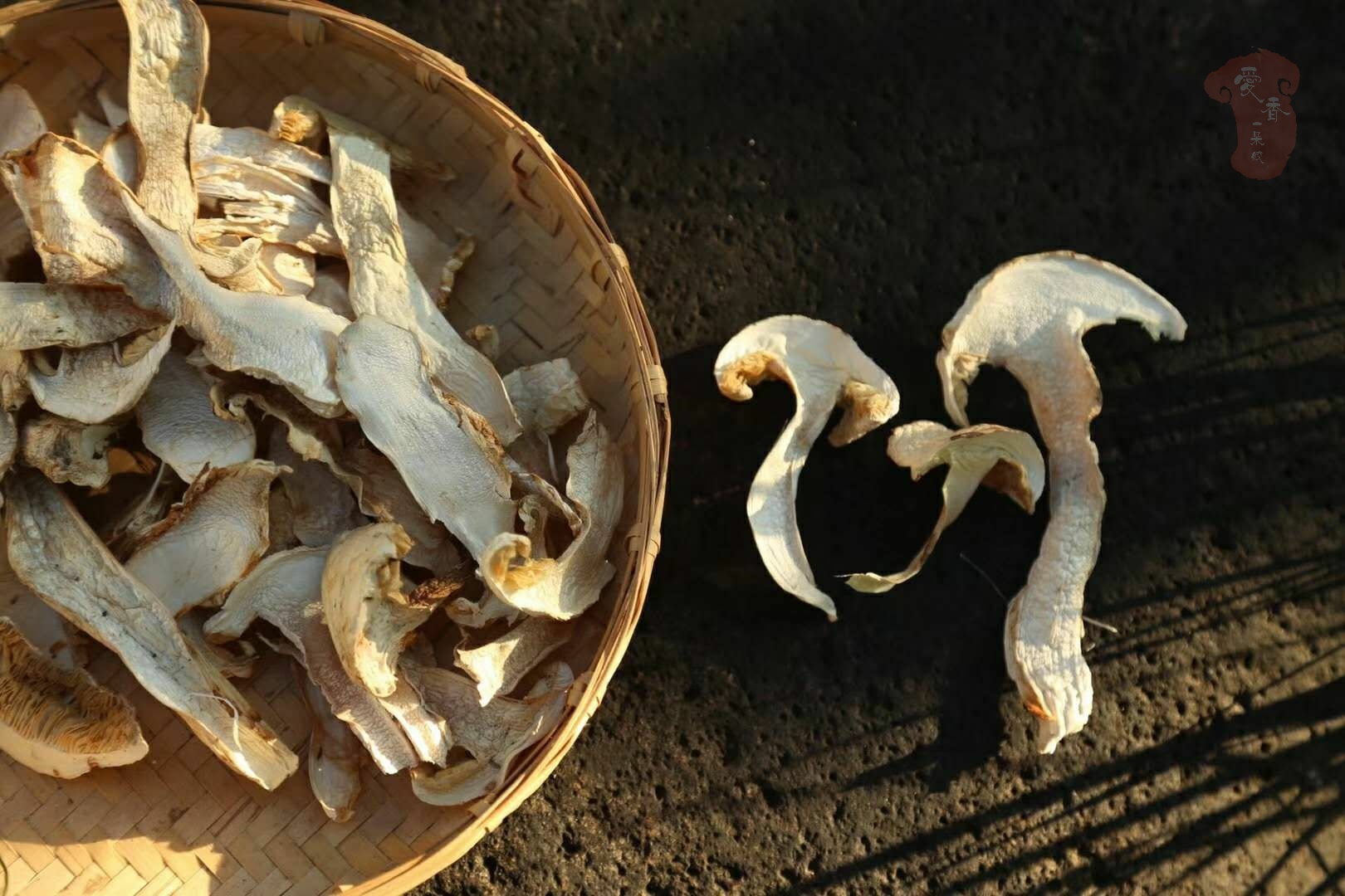 Yunnan Wild Mushroom Matsutake Dried Slices Picture And HD Photos ...