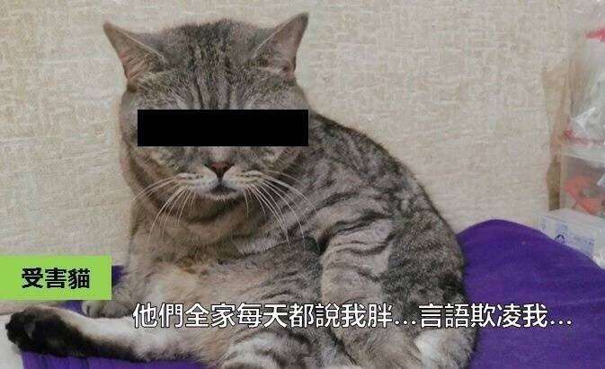 e119194aabe84e0eb2fedad8680616b2.jpeg