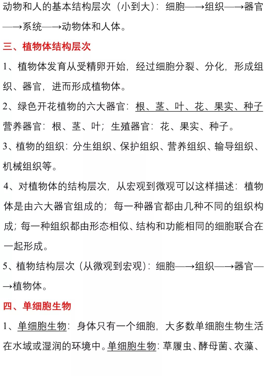 七年级上册生物知识点归纳总结可打印下载