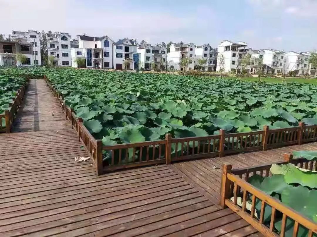 美丽乡村旅游丨余干县美丽乡村建设工作