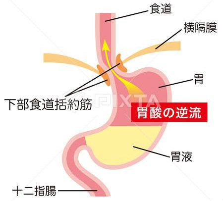 胃有多少人口_北流隆盛镇有多少人口(3)