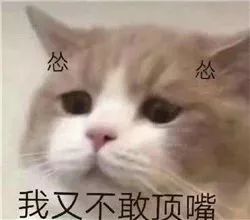f7d3627714e14e3e98024d2f584a3efd.jpeg