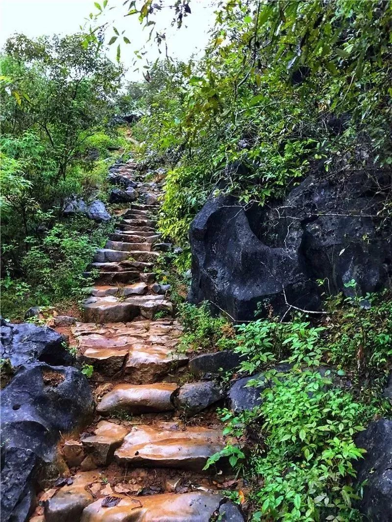 阳山县有多少人口_阳山县地图