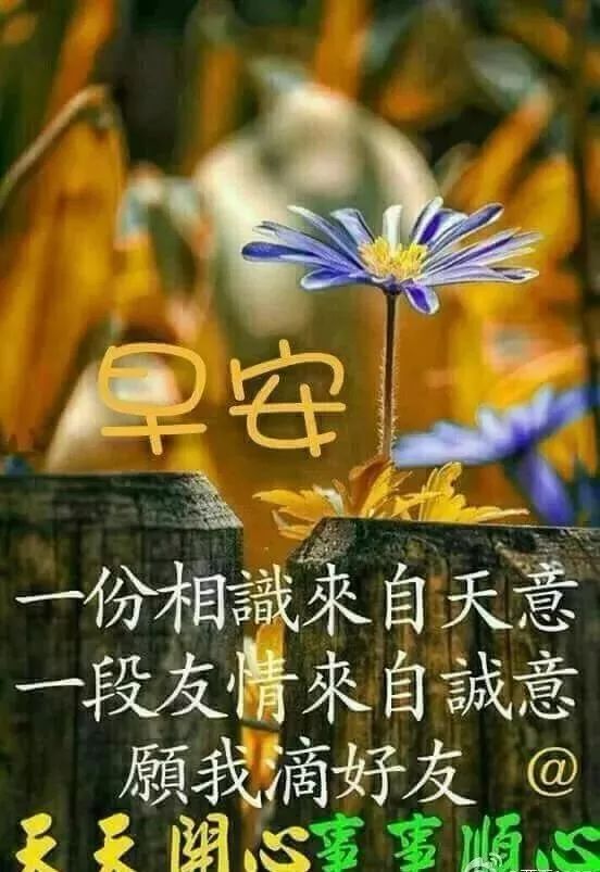 ϺʺͼƬȫ Ϻõף