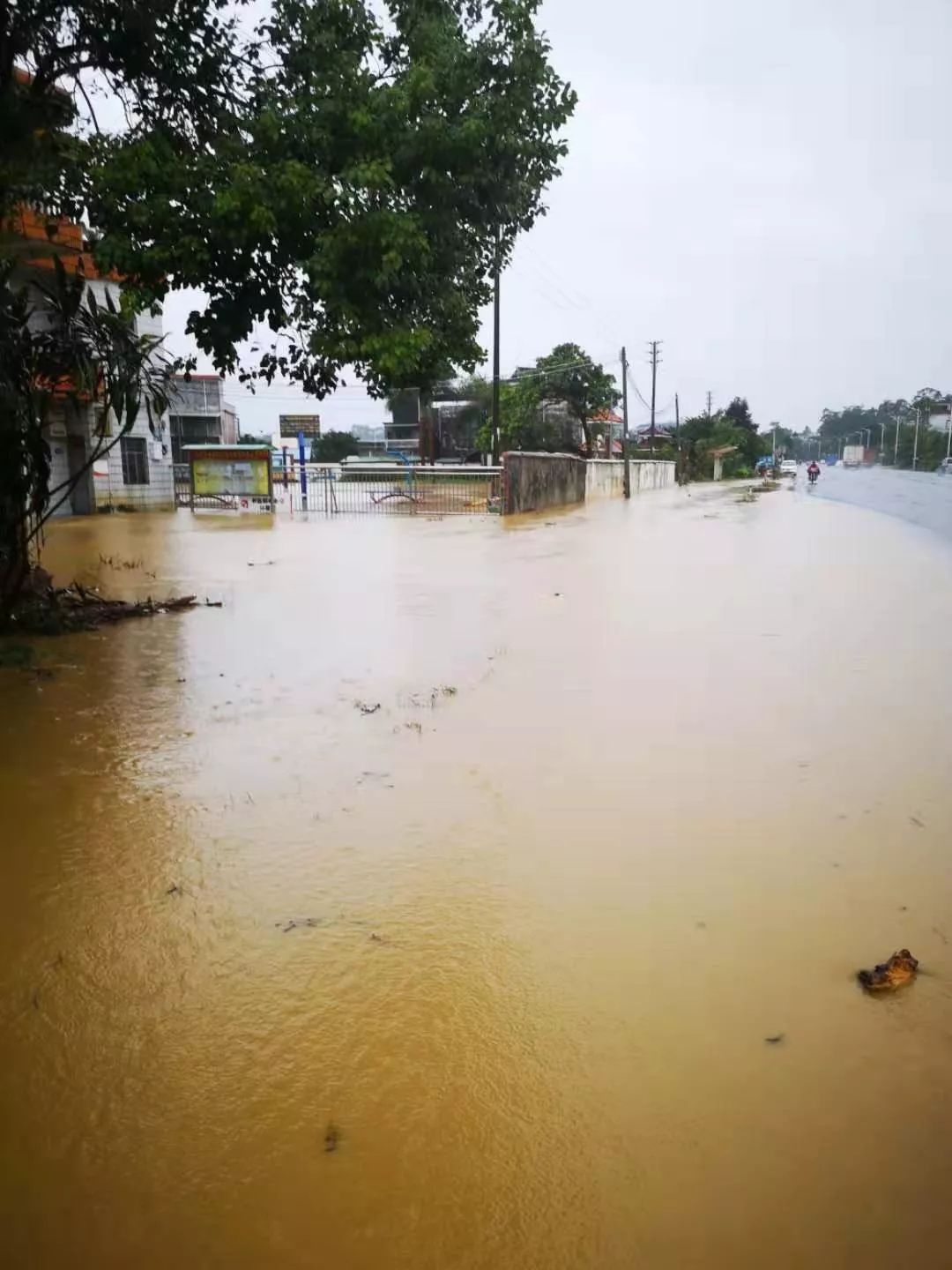 台风带来大暴雨!柏塘多地浸水!