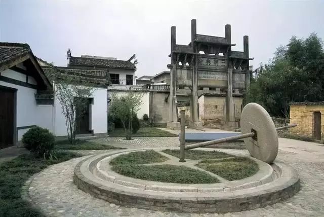 许家泽