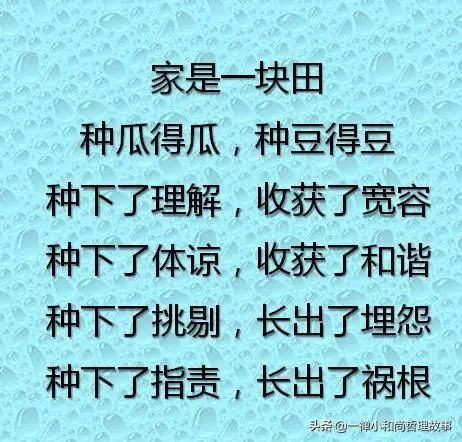 什么才是真正的家和万事兴 19bab3f3c2da4fbd81e811ef9a979746.jpeg