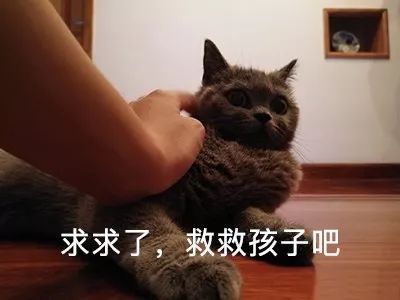 1c2ebd249cad4c4f94cd07c8308aa391.jpeg