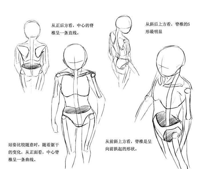 动漫人体画法步骤教程!