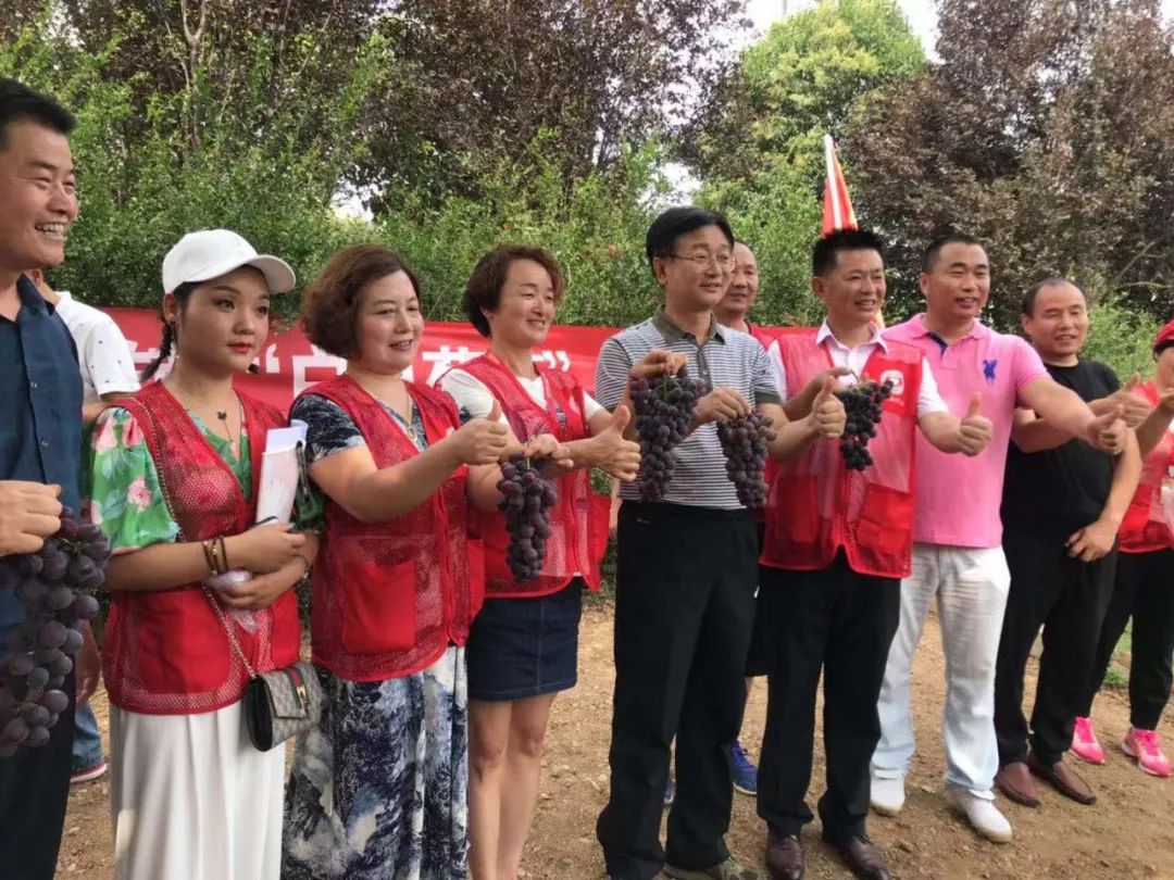 "爱心助农扶贫 助推乡村振兴"——"户县葡萄熟了"029公益在行动
