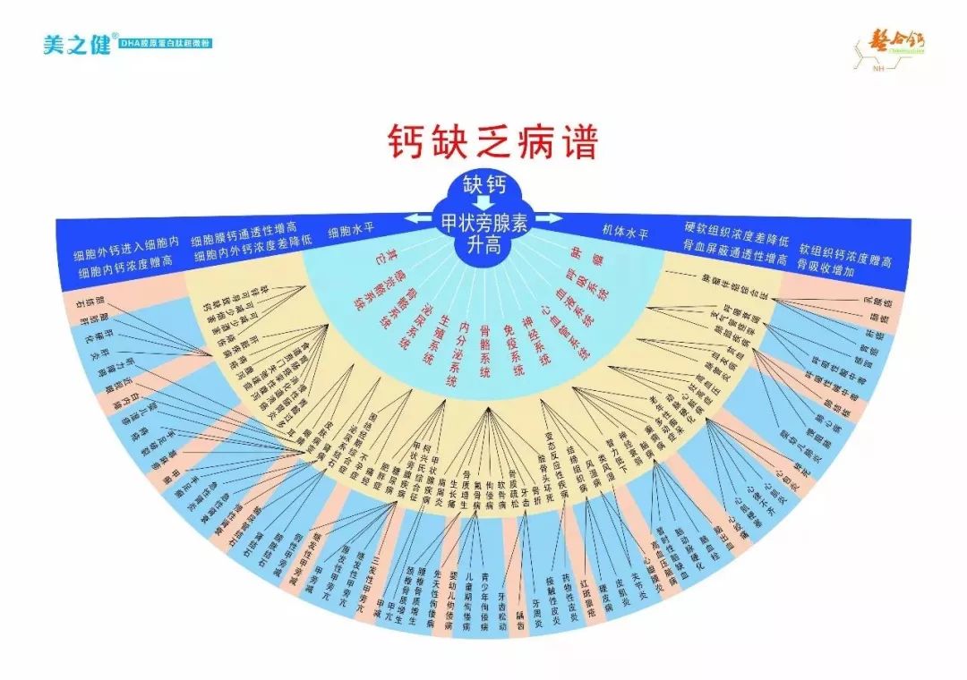 先老即人口年龄结构_人口年龄结构(2)
