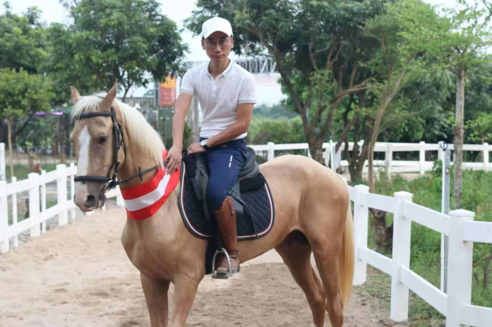 珠海平沙大虎马术农庄纯汗血马落户
