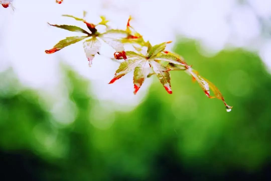 3119a41032494081bdfdb06436a9b385.jpeg