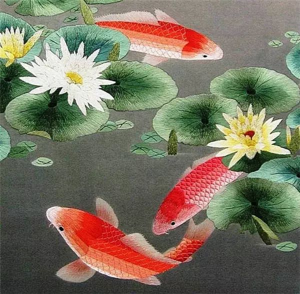 梦境异象，一缸死鲤鱼引发的抢购热潮