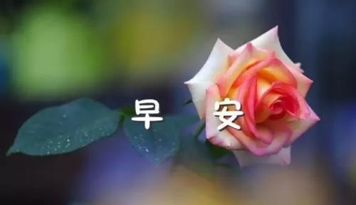 3cc6d566acf543a4a3e5042b80f9b435.jpeg