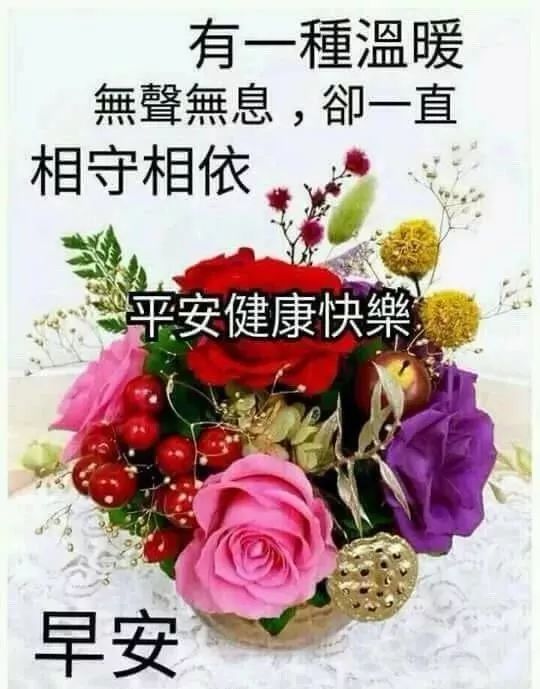 ＾Ϻñ 糿ͼƬ2019