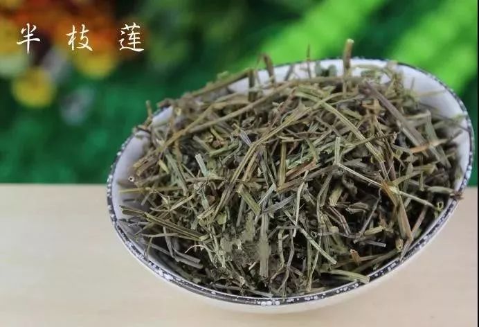 半枝莲中药饮片