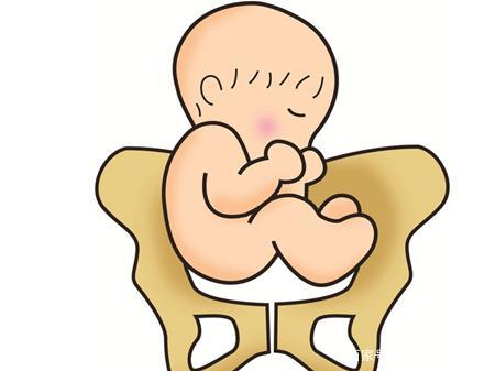 胎位小秘密:孕36周胎儿该转为头位,为何个别胎