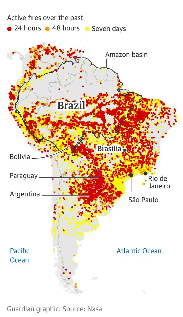 亚马逊雨林为何燃烧？