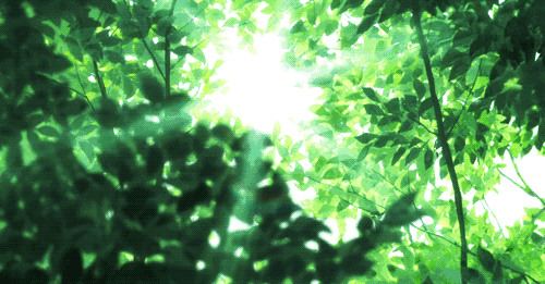 74d9ddd07c6947bc92d27a8ee35d067e.gif