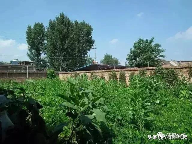济阳县多少人口_济阳县竞业园学校(2)