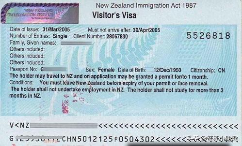 持澳洲签证过境新西兰要多久 86ce3c3f687143299e22a18d0bc4b656.jpeg