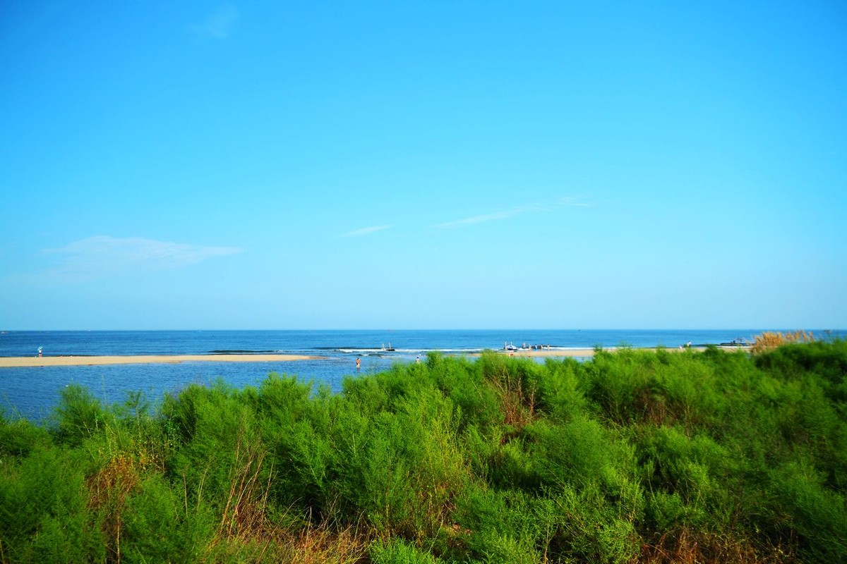 河北昌黎有中国最美的黄金海岸,大海与沙漠在这里吻合