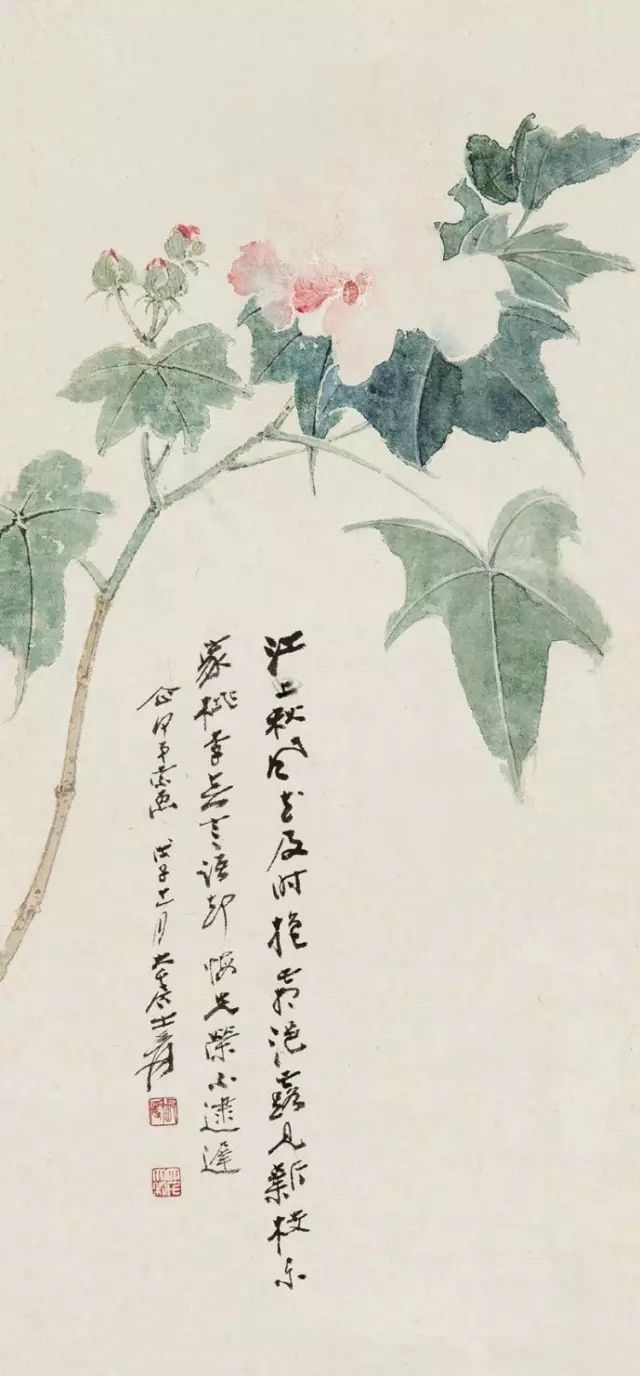 大师笔下芙蓉花似美人初醉