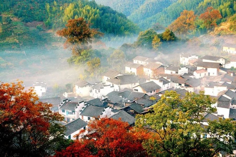 篁岭人口_篁岭图片(3)
