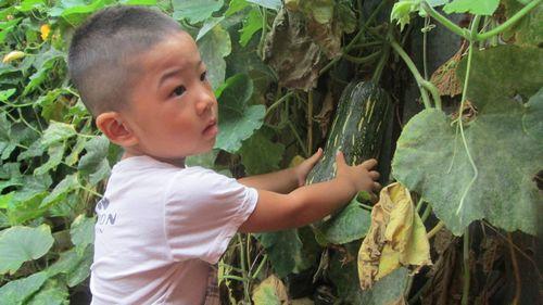                     医生劝告：这3样早餐，最好不要给孩子吃，很多家长却没注意过