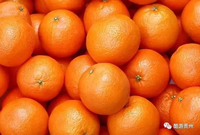 橙橙这个名字的寓意是什么 910fd91844a84838af4a382f5906d0e1.jpeg