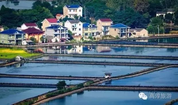 衢州现有人口_衢州水亭门图片(2)