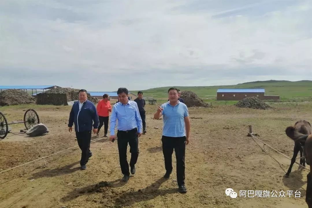 8月24日,旗委副书记,政府旗长于海成,旗人大常委会主任宋玉山一行深入