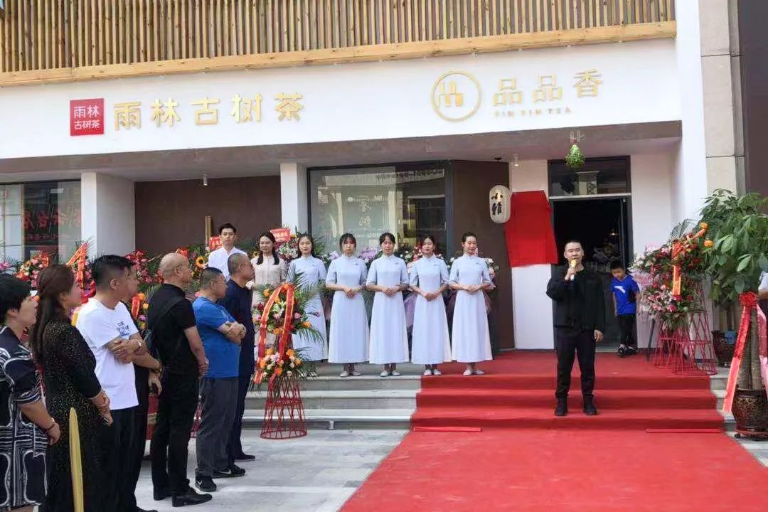 精彩接档雨林古树茶银川五星级茶馆隆重开业