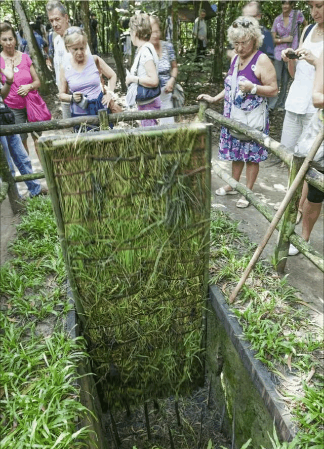 原创越南竹签阵让数千美军崩溃死亡被纳入禁用武器我军轻松破解