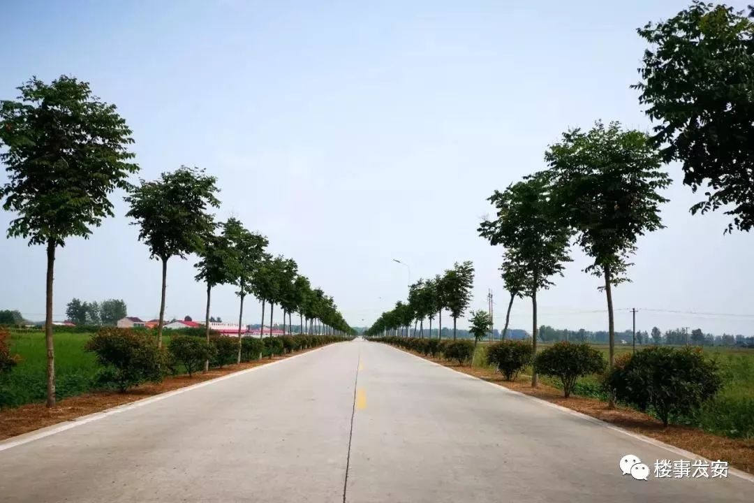 马头镇农村畅通工程道路